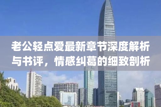 老公轻点爱最新章节深度解析与书评，情感纠葛的细致剖析