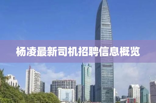 杨凌最新司机招聘信息概览