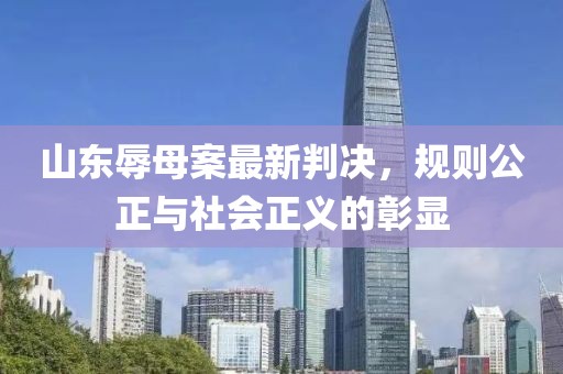 山东辱母案最新判决，规则公正与社会正义的彰显