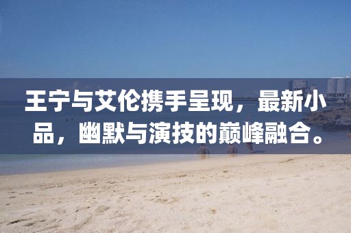 王宁与艾伦携手呈现，最新小品，幽默与演技的巅峰融合。