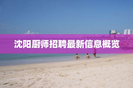 沈阳厨师招聘最新信息概览