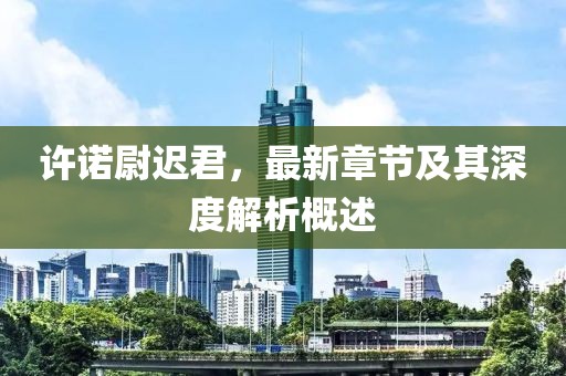 许诺尉迟君，最新章节及其深度解析概述