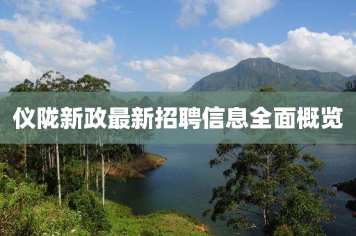 仪陇新政最新招聘信息全面概览