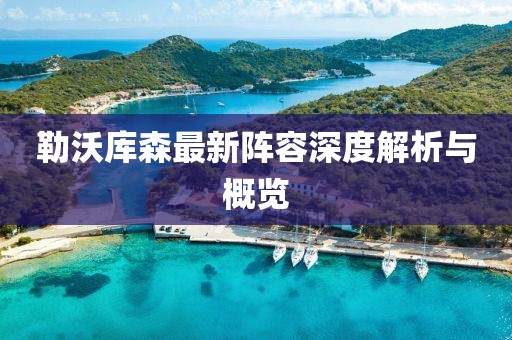 勒沃库森最新阵容深度解析与概览