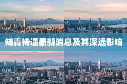 知青待遇最新消息及其深远影响