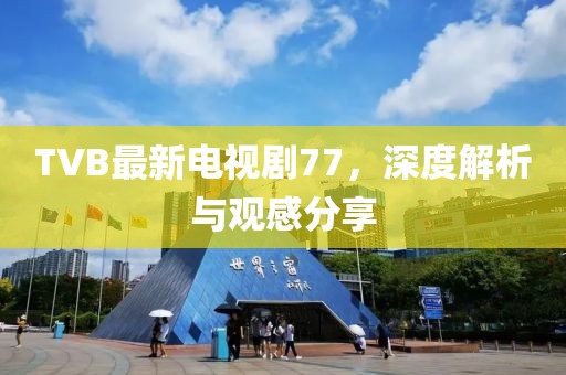 TVB最新电视剧77，深度解析与观感分享