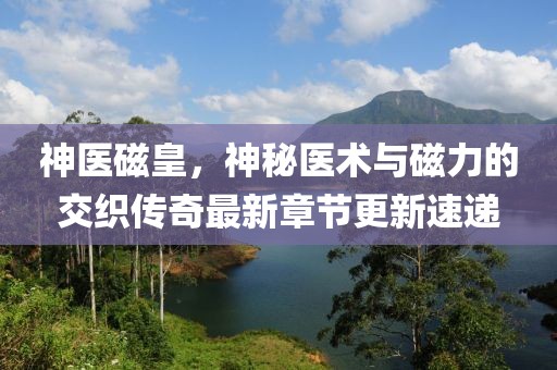 神医磁皇，神秘医术与磁力的交织传奇最新章节更新速递