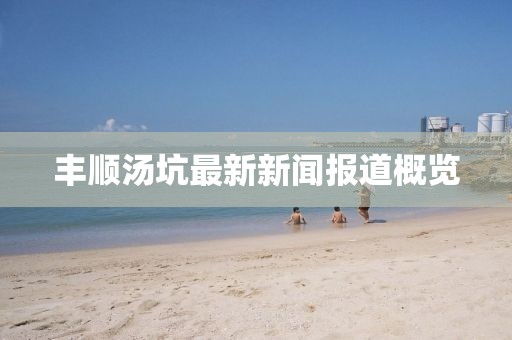 丰顺汤坑最新新闻报道概览