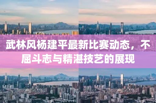 武林风杨建平最新比赛动态，不屈斗志与精湛技艺的展现