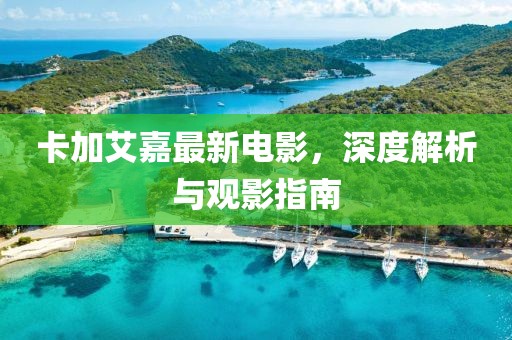 卡加艾嘉最新电影，深度解析与观影指南