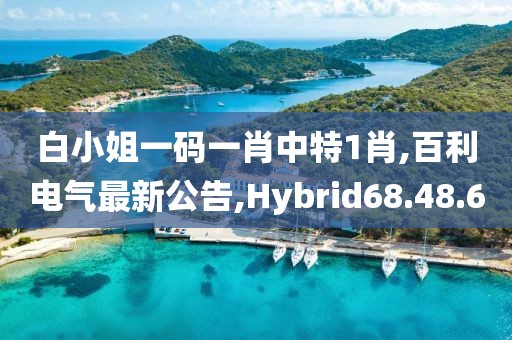 2024年11月 第1661页