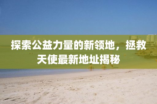 探索公益力量的新领地，拯救天使最新地址揭秘