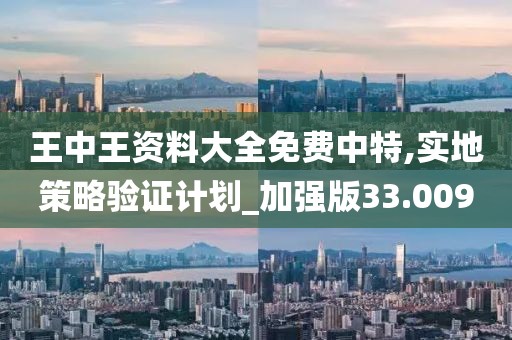 王中王资料大全免费中特,实地策略验证计划_加强版33.009