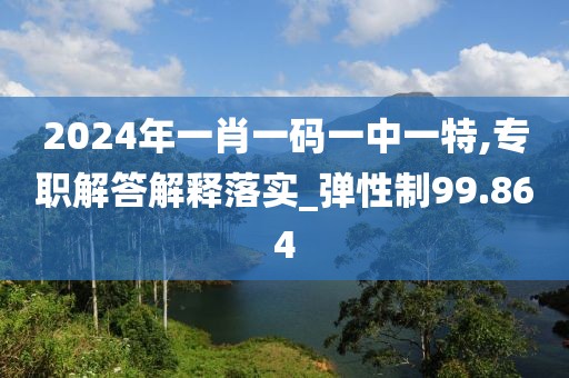 2024年一肖一码一中一特,专职解答解释落实_弹性制99.864