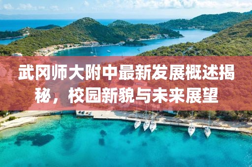 武冈师大附中最新发展概述揭秘，校园新貌与未来展望
