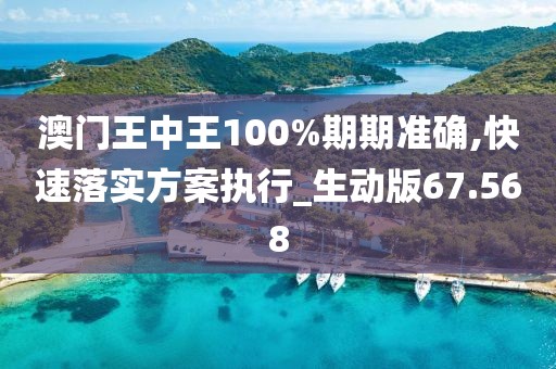 澳门王中王100%期期准确,快速落实方案执行_生动版67.568