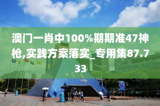 澳门一肖中100%期期准47神枪,实践方案落实_专用集87.733