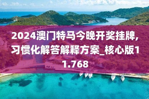 2024澳门特马今晚开奖挂牌,习惯化解答解释方案_核心版11.768