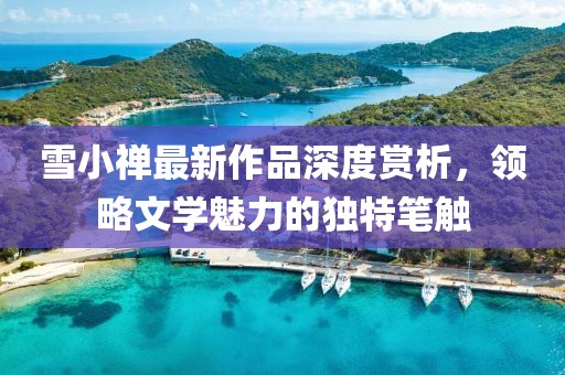 雪小禅最新作品深度赏析，领略文学魅力的独特笔触