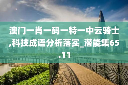澳门一肖一码一特一中云骑士,科技成语分析落实_潜能集65.11