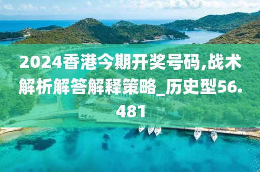 2024香港今期开奖号码,战术解析解答解释策略_历史型56.481