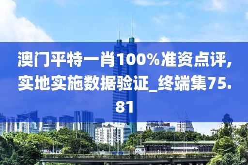 澳门平特一肖100%准资点评,实地实施数据验证_终端集75.81
