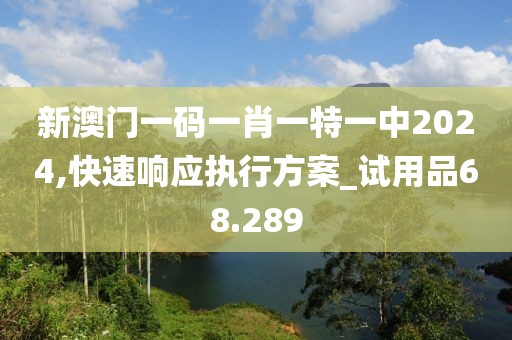 新澳门一码一肖一特一中2024,快速响应执行方案_试用品68.289