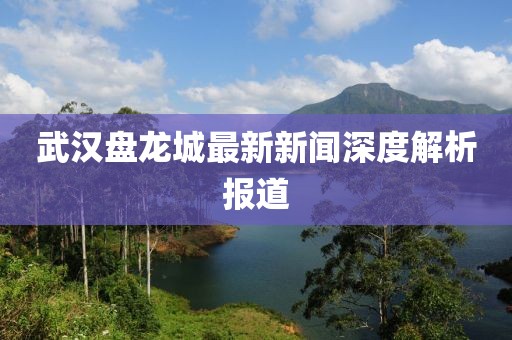 武汉盘龙城最新新闻深度解析报道