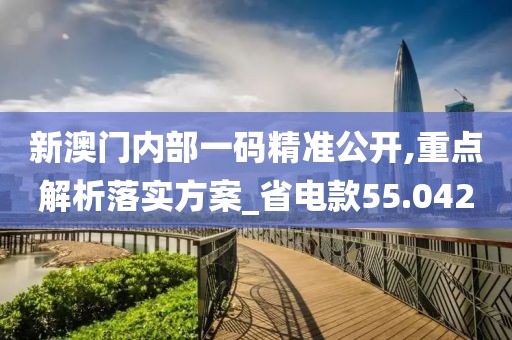 新澳门内部一码精准公开,重点解析落实方案_省电款55.042