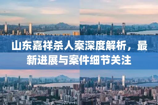 山东嘉祥杀人案深度解析，最新进展与案件细节关注