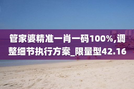 管家婆精准一肖一码100%,调整细节执行方案_限量型42.16