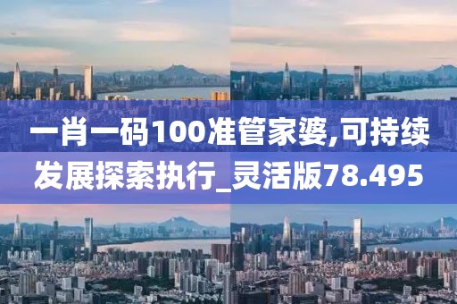 一肖一码100准管家婆,可持续发展探索执行_灵活版78.495