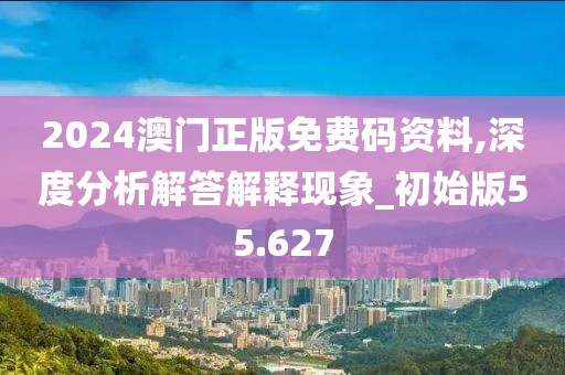 2024澳门正版免费码资料,深度分析解答解释现象_初始版55.627