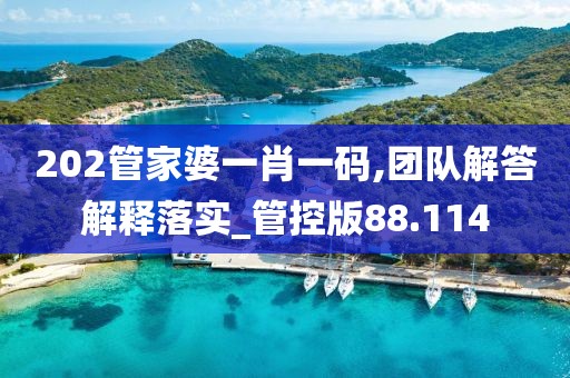 202管家婆一肖一码,团队解答解释落实_管控版88.114