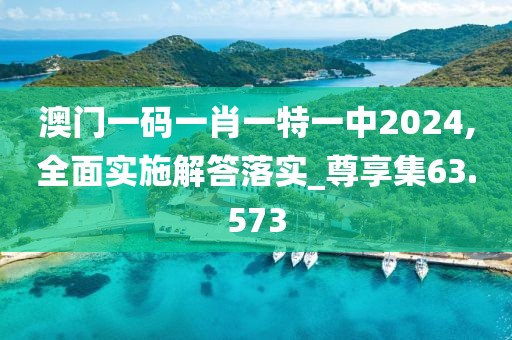 澳门一码一肖一特一中2024,全面实施解答落实_尊享集63.573