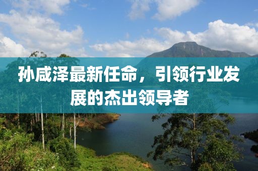孙咸泽最新任命，引领行业发展的杰出领导者