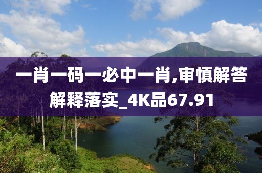 一肖一码一必中一肖,审慎解答解释落实_4K品67.91