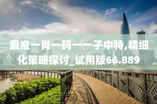 最准一肖一码一一孑中特,精细化策略探讨_试用版66.889