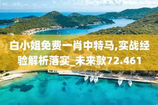 白小姐免费一肖中特马,实战经验解析落实_未来款72.461