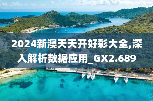 2024新澳天天开好彩大全,深入解析数据应用_GX2.689