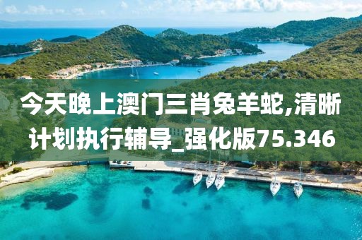 今天晚上澳门三肖兔羊蛇,清晰计划执行辅导_强化版75.346