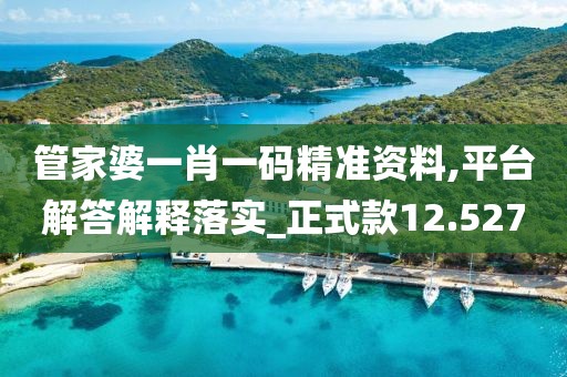 管家婆一肖一码精准资料,平台解答解释落实_正式款12.527