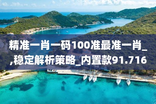 精准一肖一码100准最准一肖_,稳定解析策略_内置款91.716