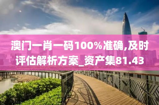澳门一肖一码100%准确,及时评估解析方案_资产集81.43