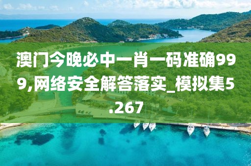 澳门今晚必中一肖一码准确999,网络安全解答落实_模拟集5.267