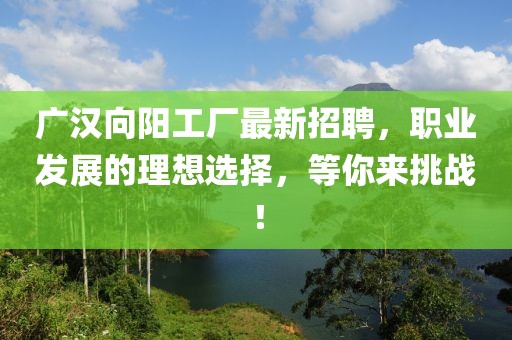 广汉向阳工厂最新招聘，职业发展的理想选择，等你来挑战！