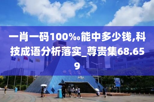 一肖一码100‰能中多少钱,科技成语分析落实_尊贵集68.659