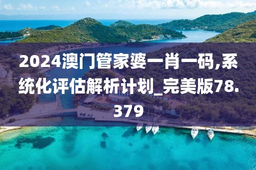 2024澳门管家婆一肖一码,系统化评估解析计划_完美版78.379