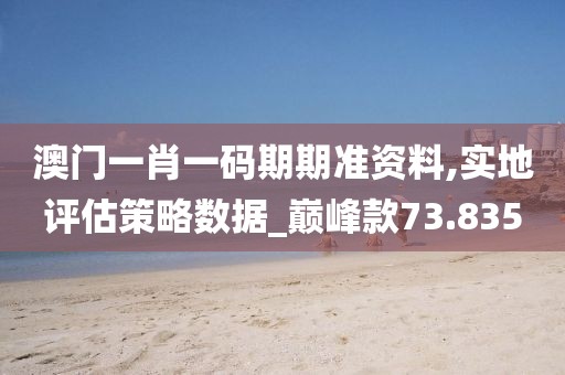 澳门一肖一码期期准资料,实地评估策略数据_巅峰款73.835