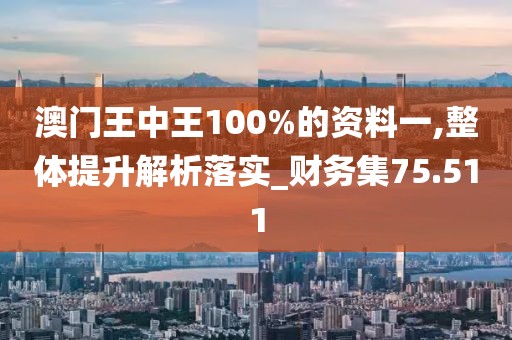 澳门王中王100%的资料一,整体提升解析落实_财务集75.511